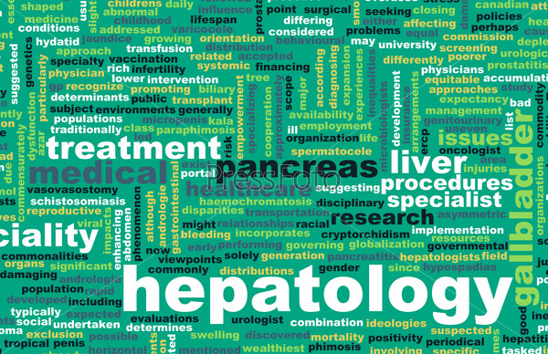 Hepatology or Hepatologist Medical Field Specialty As Art