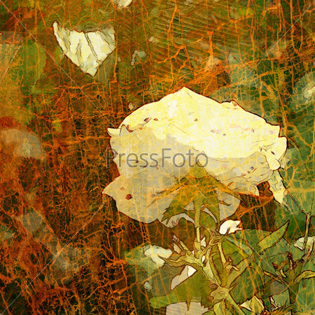 art grunge floral vintage background with white rose, for family holidays