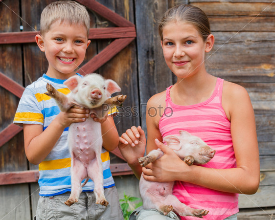 Young farmers - cute girl and little boy holding white piglet on a farm
