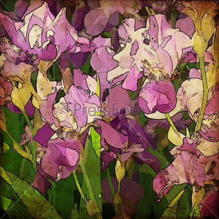 art grunge floral vintage background with gladiolus, for family holidays
