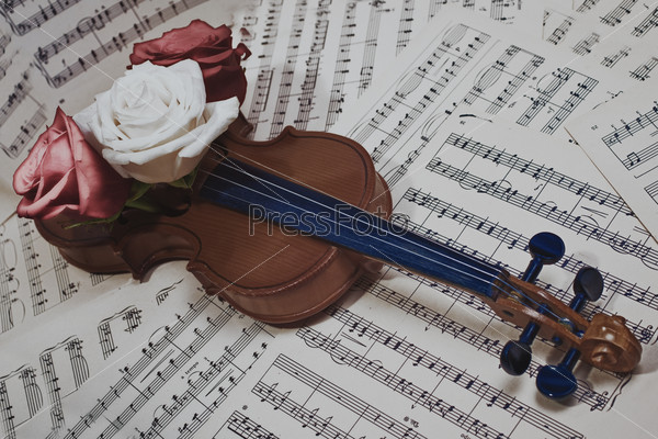 old violin with musical notes and rose