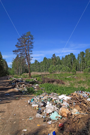 garbage pit in pine wood
