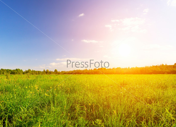green field under blue cloudy sky with sun