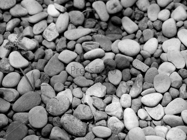 Black and white image of small rock pebbles