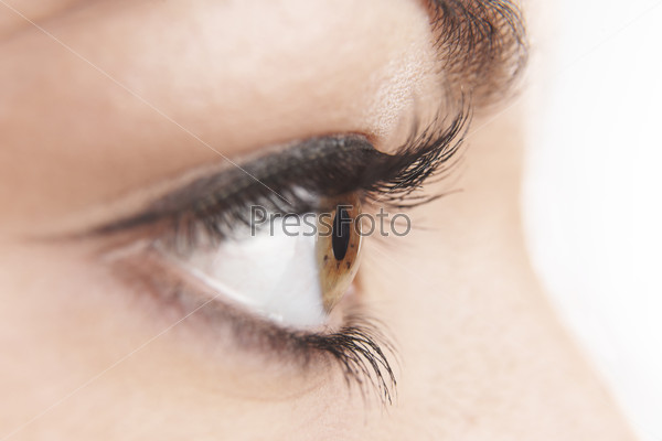 close up of womans brown eye with false eye lashes