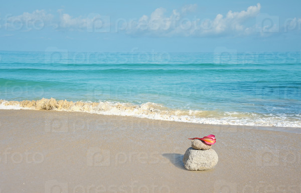 ocean beach background with pink flower lying on stone