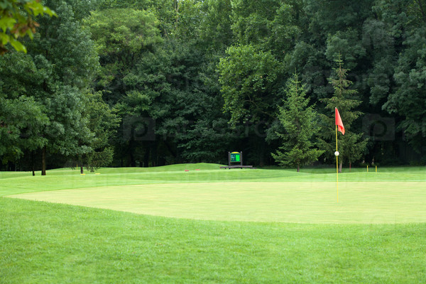 Red flag on a golf course, focus on the flag