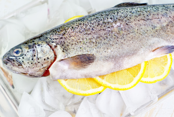 raw trout