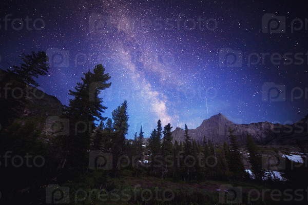 The Milky Way and some trees. In the mountains of Sayan in Russia
