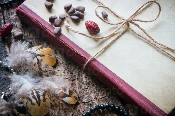 Corded book with beads, dogrose, pine nuts and earrings with feathers close-up