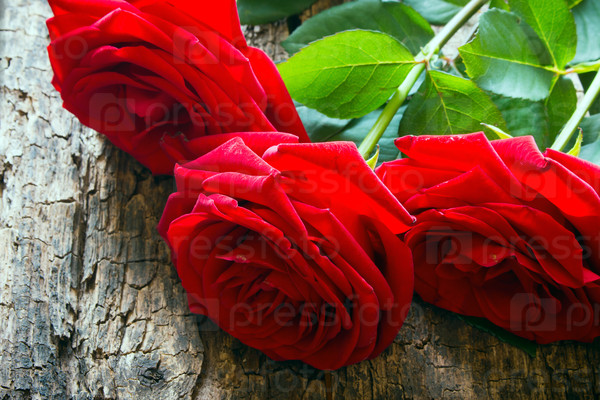 Three red roses on a wooden background with the stem and leaves closeup