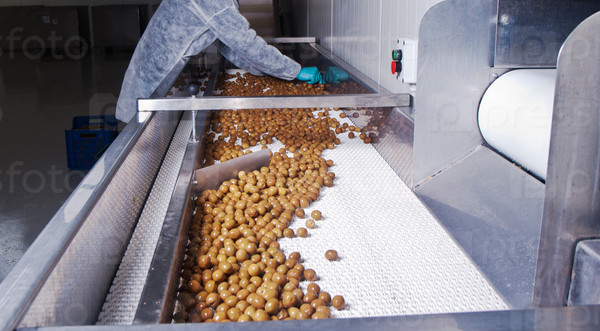 Olives in a processing machine