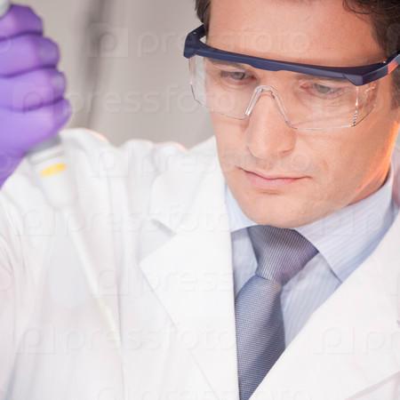 Focused life science professionals pipetting master mix solution into the PCR 96 well micro plate in the genetic lab, stock photo