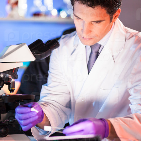 Health care professional looking at the microscope slide in the forensic laboratory, stock photo
