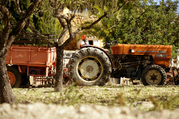 Old rusted tractor orange color in Spain
