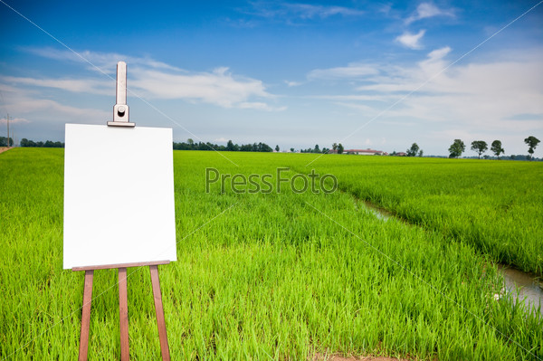 Blank canvas on a wooden easel over a green field. Large copy space on the white canvas.