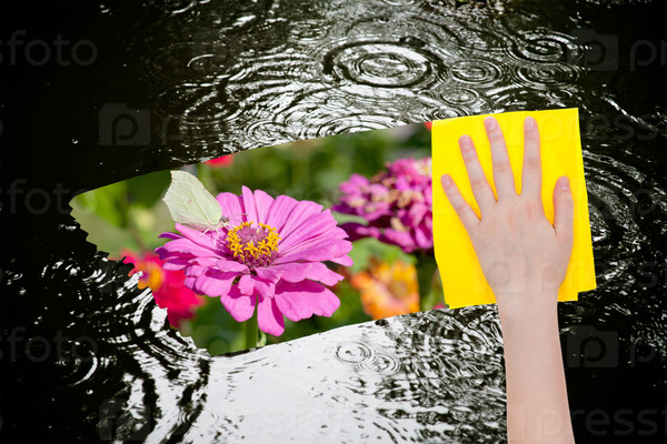 weather concept - hand deletes rain puddle by yellow cloth from image and meadow with pink flowers is appearing