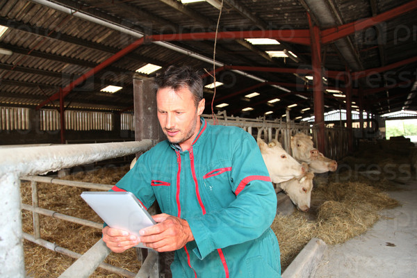 Farmer in barn using electronic tablet