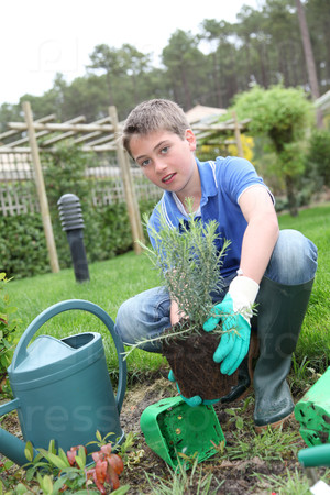 Young boy holding flower pot in garden