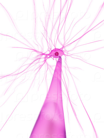 active nerve cell