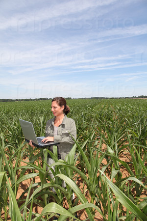 Agronomist in corn field