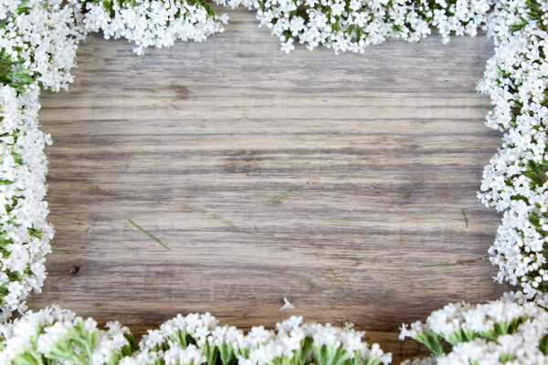 yarrow flower, herbal plants on wooden table with copy space