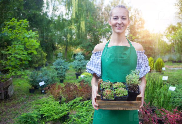 Portrait of a woman holding a box with plants in her hands in garden center