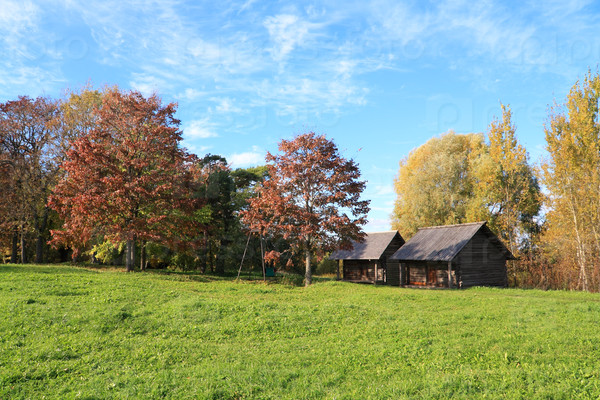 wooden buildings amongst autumn tree