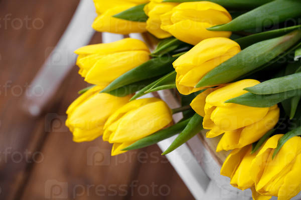 Beautiful bright yellow tulips in Still Life lying on antique white Chair