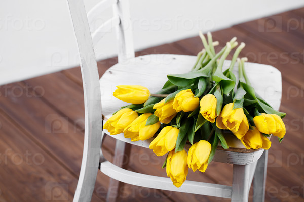 Beautiful bright yellow tulips in Still Life lying on antique white Chair
