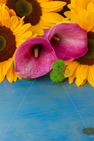 bouquet of   sunflowers callas and mums ob blue background
