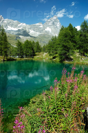 View of the south face of Matterhorn reflected in a small lake, Italy