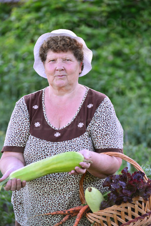 Женщина пожинает урожай кабачков