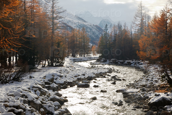 Mountain river in late fall covered by the first snow. Italian Alps.