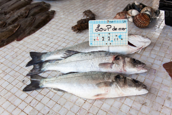 wolf-fish at the seafood market, France, Europe.