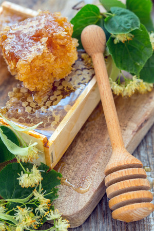Honey comb, lime blossom and wooden spoon close-up.