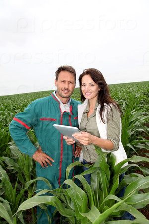 Farmer and researcher analyzing corn plant
