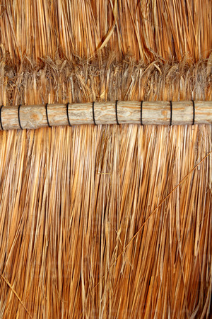palapa tropical Mexico wood cabin roof detail indoor