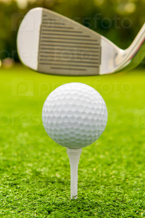 Vertical shot the putter and golf ball on a lawn