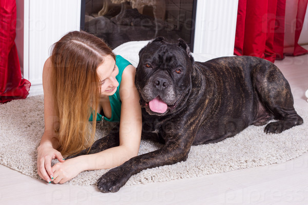 woman is at home next to the fireplace with his big dog Cane Corso
