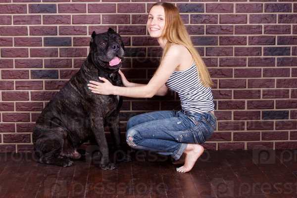 Portrait of a young girl hugging a big dog Cane Corso, stock photo