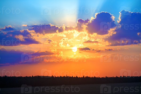 A beautiful golden sunset over the forest. Colorful scenic sky with clouds and bright sun.