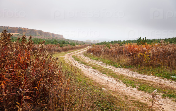 dirt autumn road