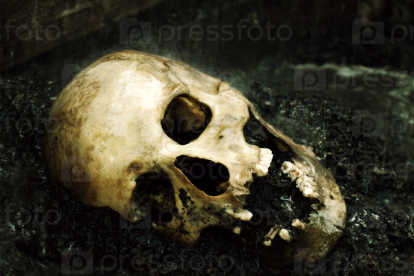 Human skull in rain configured as crime scene, color manipulated