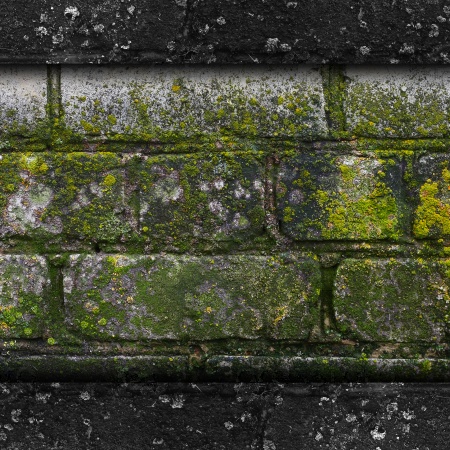 Moss old green wall stone pattern mold texture