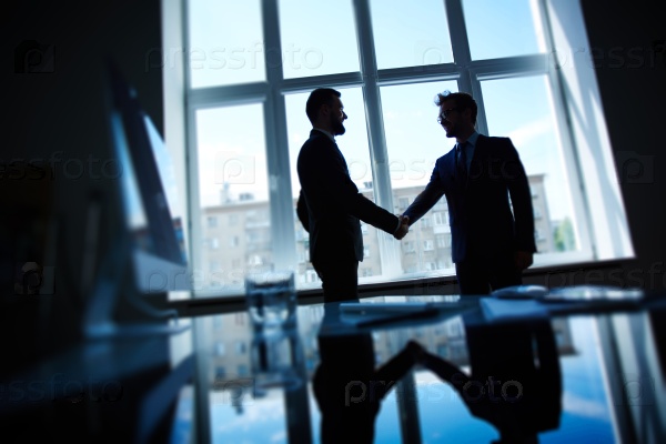 Confident businessmen handshaking after negotiations