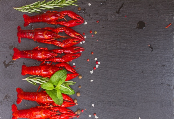 Border of red Crayfish on black board, stock photo