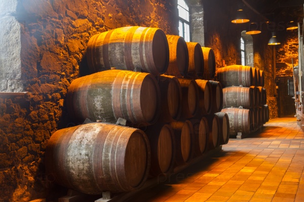 cellar with row of traditional  aged  wooden port  wine barrels