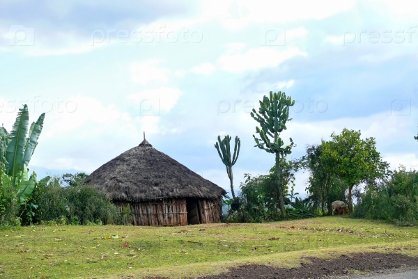 National African housing - house closeup on nature background. A