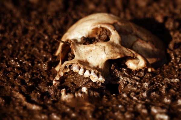 Real human skull figured as tragic scene, color manipulated into dark orange